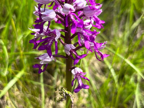 22-05-08 11-01-27 0760